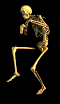 skeleton4.gif
